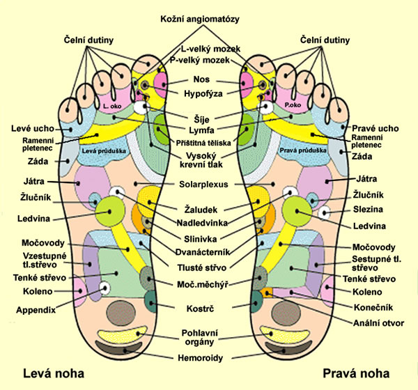 reflexni-body-nohy